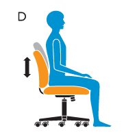 D - Back/Lumbar Height