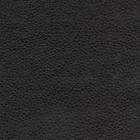 Black Onyx
