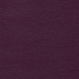 Vineyard