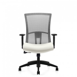Vion - mesh task chair - task chair - ergonomic chair - office mesh chair - ergonomic mesh office chair - lumbar support for office chair - office chair with arms 
