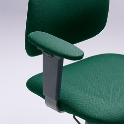 Score Low Back Posture Task Armless