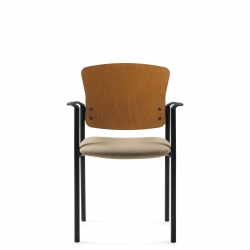 Fauteuil à dossier en placage de bois Fauteuil à dossier en placage de bois Model Thumbnail