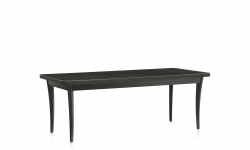 Table de salon, pieds en bois, dessus en stratifié haute pression Table de salon, pieds en bois, dessus en stratifié haute pression Model Thumbnail