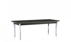 Table de salon, pieds en aluminium poli, dessus en bois Table de salon, pieds en aluminium poli, dessus en bois Model Thumbnail